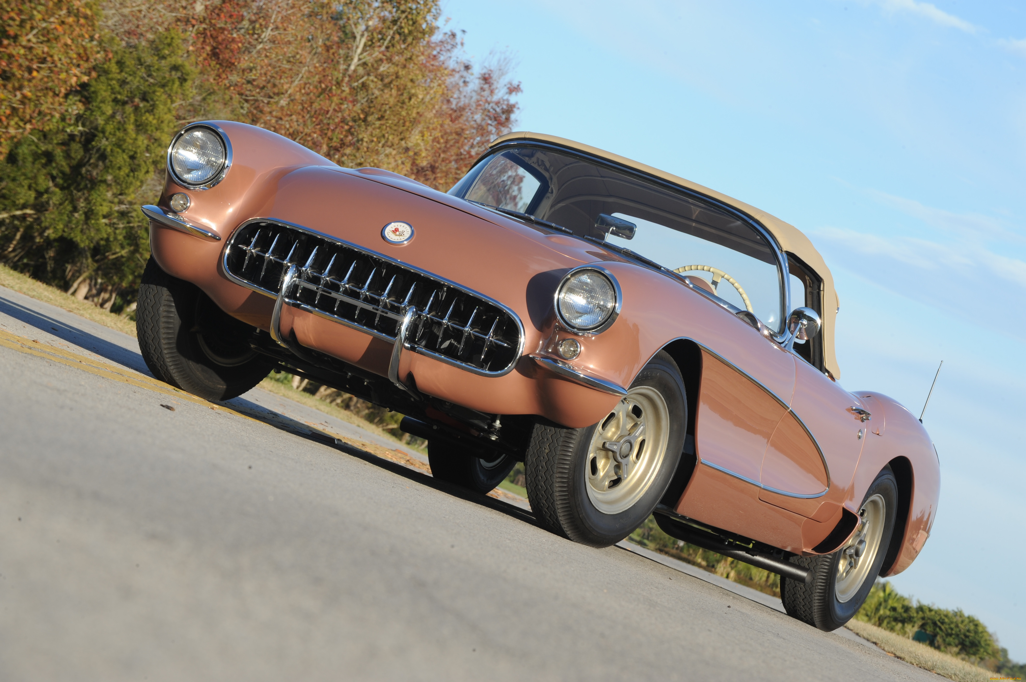 , corvette, fever